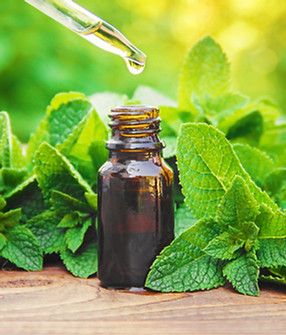 Peppermint+Essential+Oil+Benefits+for+Skin+and+Hair.jpeg