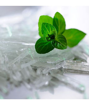 Untitled design (11).jpg