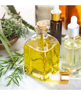 Untitled design (7).jpg